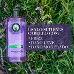 Shampoo-Herbal-Essences-Anti-Frizz-Lavanda-Aceite-de-Almendras-400-ml-4-27218