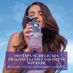 Shampoo-Herbal-Essences-Anti-Frizz-Lavanda-Aceite-de-Almendras-400-ml-7-27218