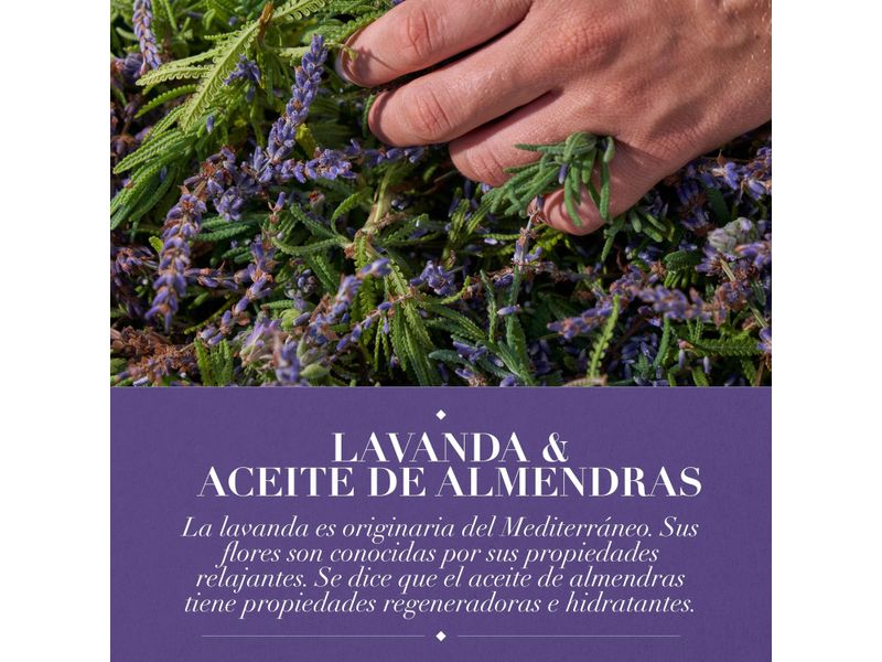 GTIN-7500435193740-04