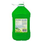 Suavizante-Great-Value-Aroma-Manzana-Verde-Botella-5000ml-3-36540