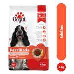 Alimento-Dogui-Perro-Adulto-Sabor-Parrillada-18-Meses-En-Adelante-4kg-1-9648