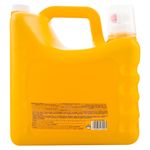 Detergente-Liq-Gv-Con-Bicarbonato-7000ml-3-34014