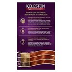 Tinte-Koleston-Caoba-Cobrizo-64-122Gr-2-36914