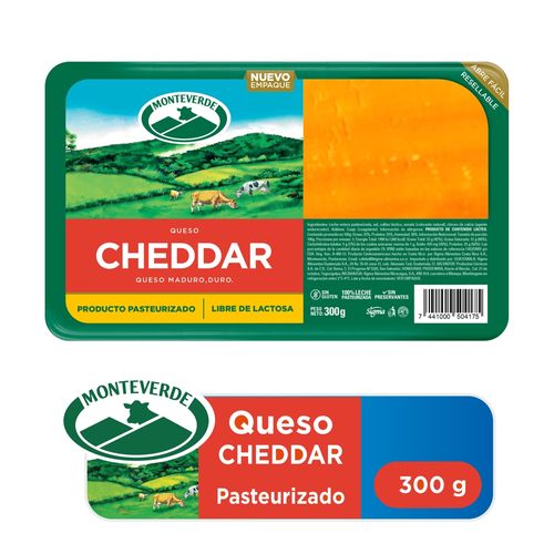 Queso Cheddar Mv 300 Gr