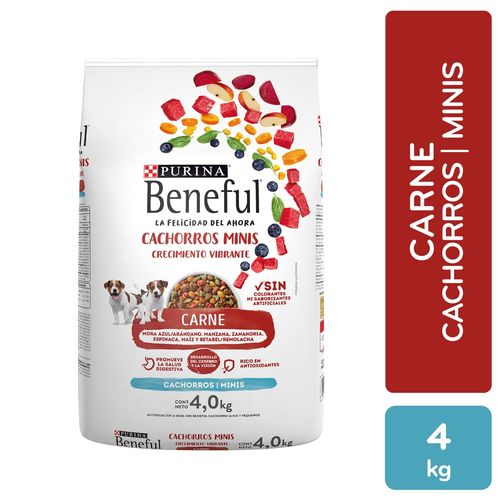 Alimento Perro Cachorro Purina Beneful Minis Crecimiento Vibrante Carne, Minis 4kg