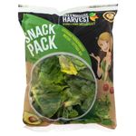 Lechuga-Gourmet-Snack-Pack-Greenhouse-4-Onzas-2-24857