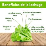 Lechuga-Gourmet-Snack-Pack-Greenhouse-4-Onzas-3-24857