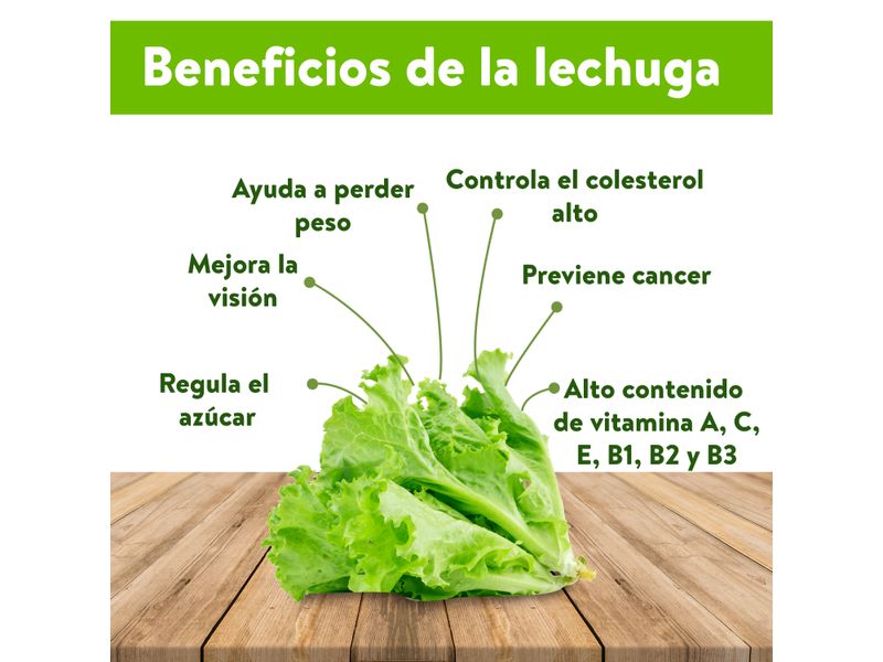 Lechuga-Gourmet-Snack-Pack-Greenhouse-4-Onzas-3-24857