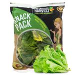 Lechuga-Gourmet-Snack-Pack-Greenhouse-4-Onzas-1-24857