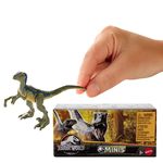 GTIN-0887961945034-06