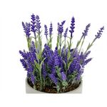 Ms-Planta-Artifi-Maceta-Cerami-Blan-30Cm-2-31075
