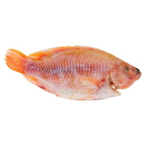 Tilapia Roja sin Escama Fresca Granel - Libra
