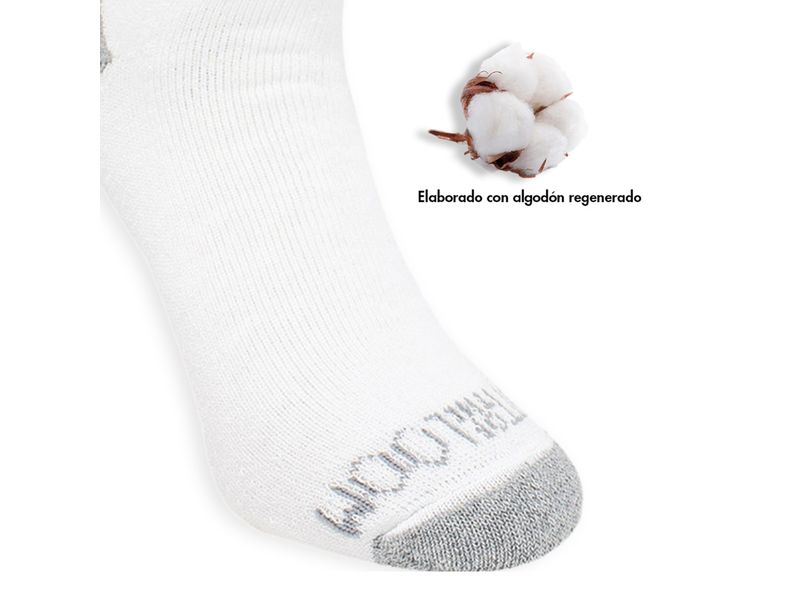 69181_05.jpg