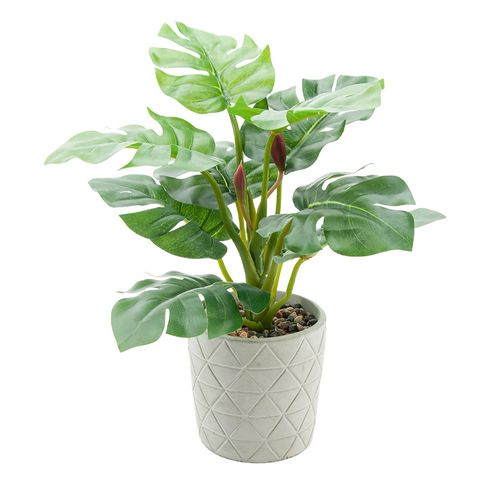 Ms Planta Artificial Maceta Cemento 30cm