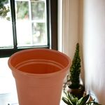 4139_03.jpg
