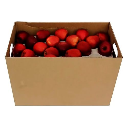 Manzana Jazz Calibre 100 Unidad