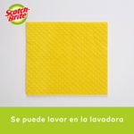 13560_06.jpg