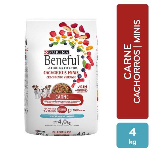 Alimento Perro Cachorro Purina Beneful Minis Crecimiento Vibrante Carne, Minis 4kg