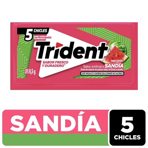 Goma Mascar Trident Slab 5S Sandía - 8.5g