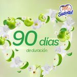 2993_04.jpg