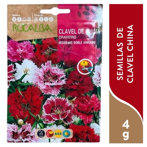 Semilla Rocalba Clavel China - 4 g