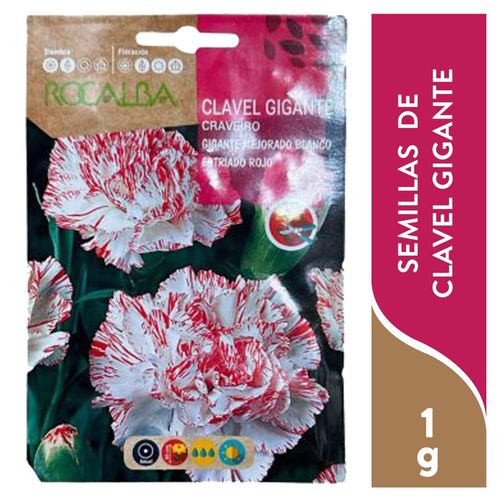 Semilla RocalbaClavel Gigante - 1 g