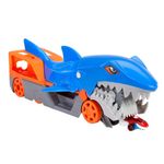 51129