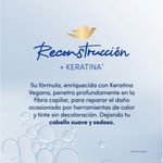 33236_04.jpg