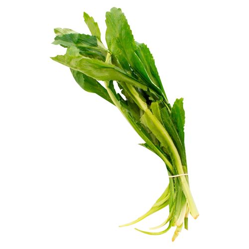 Culantro Pata - 1Unidad
