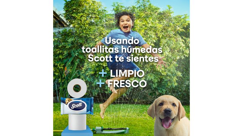 Comprar Papel Higiénico Húmedo Scott 48 unidades Walmart