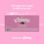 33170_05.jpg