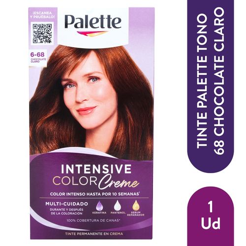 Tinte Palette Cc 6 68 Chocolate 110ml