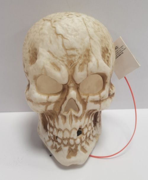 Calavera Holiday Time iluminada