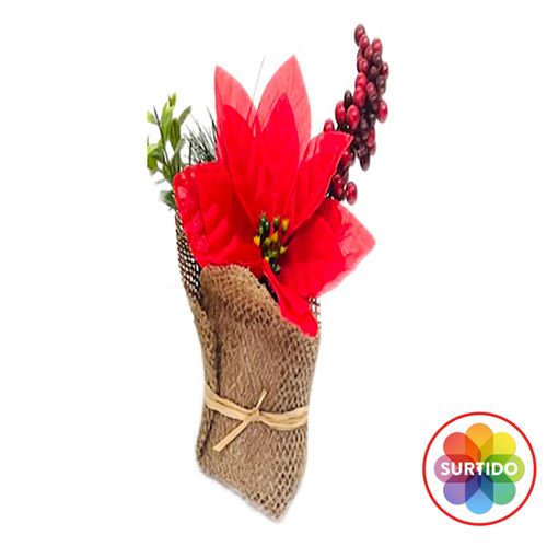 Flor Holiday Time en maceta - 16 cm