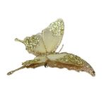 GTIN-0632971702913-05