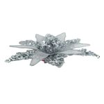 GTIN-0632971702975-06