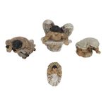 GTIN-4894921043996-03