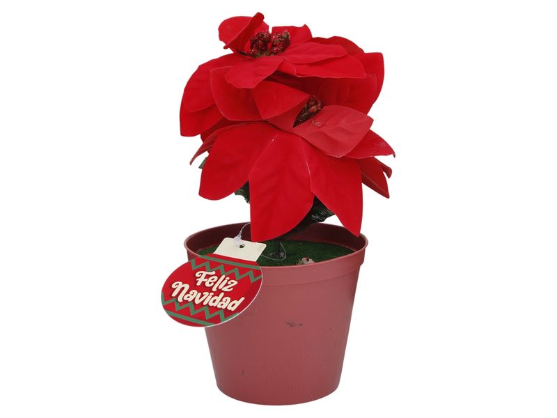 GTIN-6945926382646-01