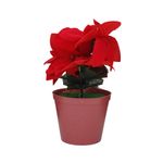 GTIN-6945926382646-02