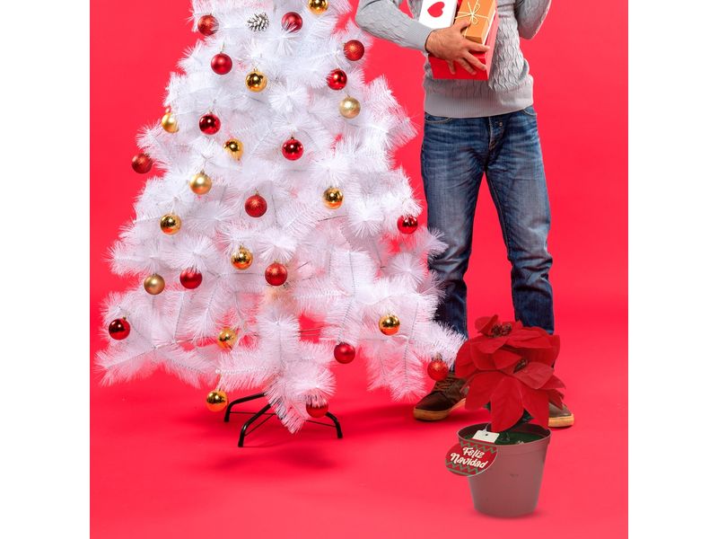 GTIN-6945926382646-03