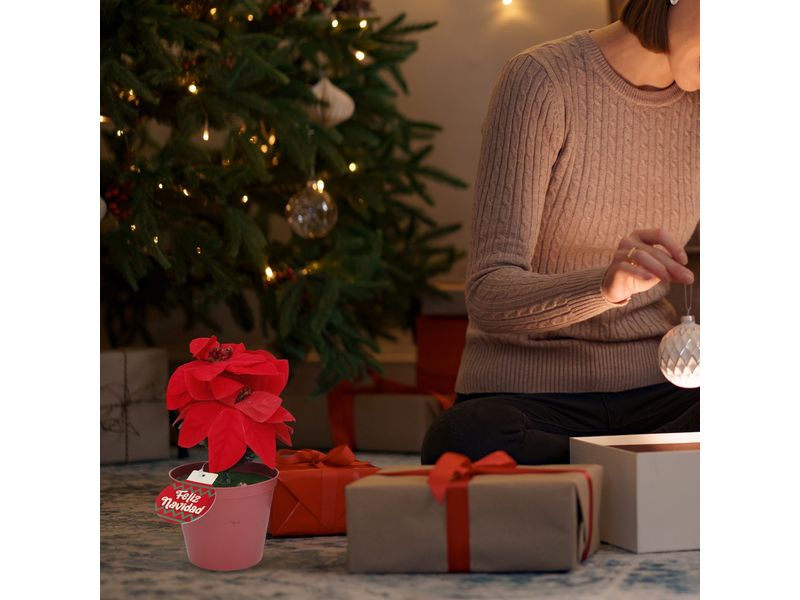 GTIN-6945926382646-04