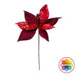 GTIN-4894921043958-01