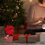 GTIN-6945926382646-04