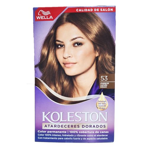 Tinte Koleston Kit 53 Atarde Castano 50g