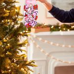 GTIN-0840026123341-04