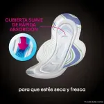 GTIN-7441008172536-03