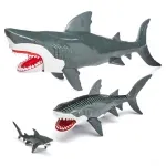 GTIN-0698567775105-03