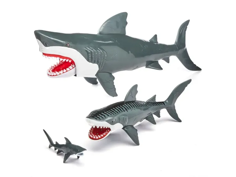 GTIN-0698567775105-03