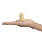 GTIN-7290120510173-06