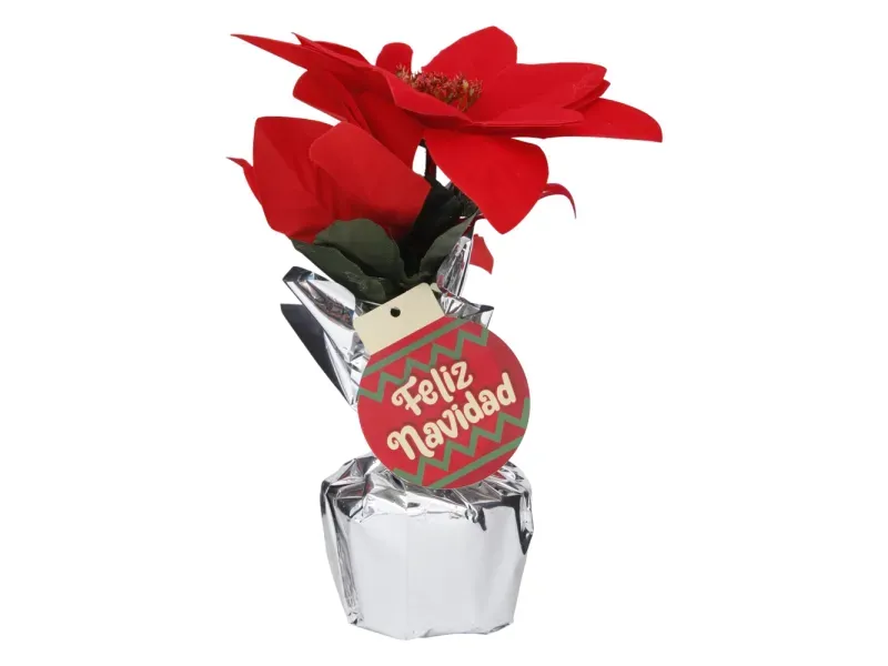 GTIN-6945926382950-01